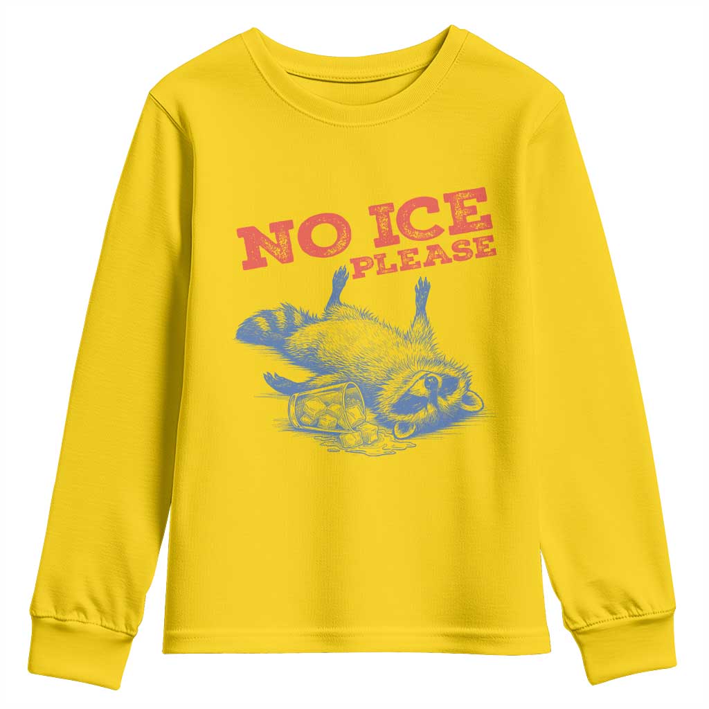 No Ice Please Youth Sweatshirt Funny Raccoon Trash Panda Anti ICE Meme