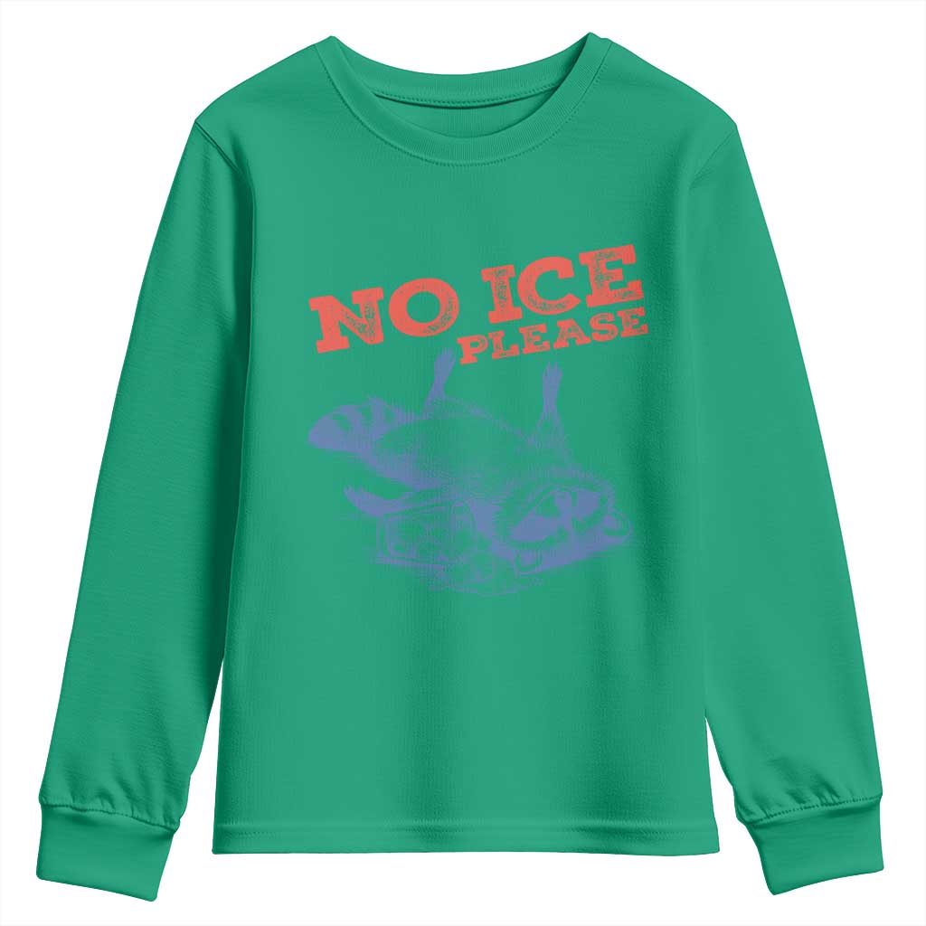 No Ice Please Youth Sweatshirt Funny Raccoon Trash Panda Anti ICE Meme