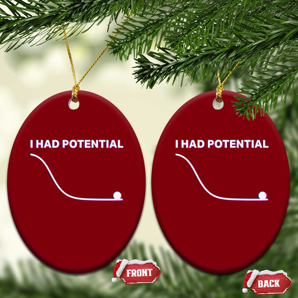 I Had Potential Ceramic Ornament Funny Physics Teacher Motivational Quote