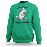 Funny Groundhog Scooter Sweatshirt Sometimes I Just Be Fartin - Wonder Print Shop