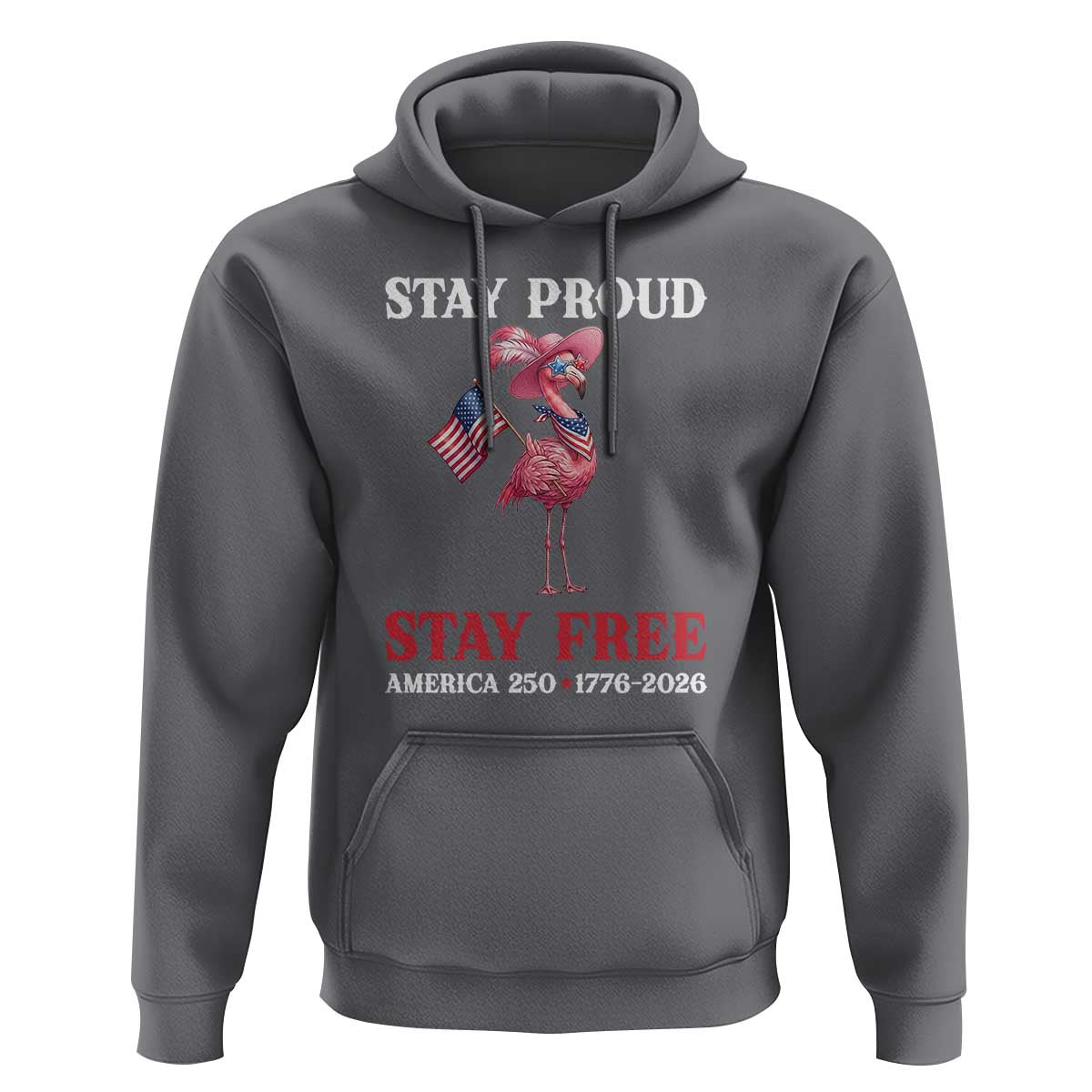 250 Years Anniversary Hoodie Flamingo 4Th Of July Patriotic USA Independence Flamerica