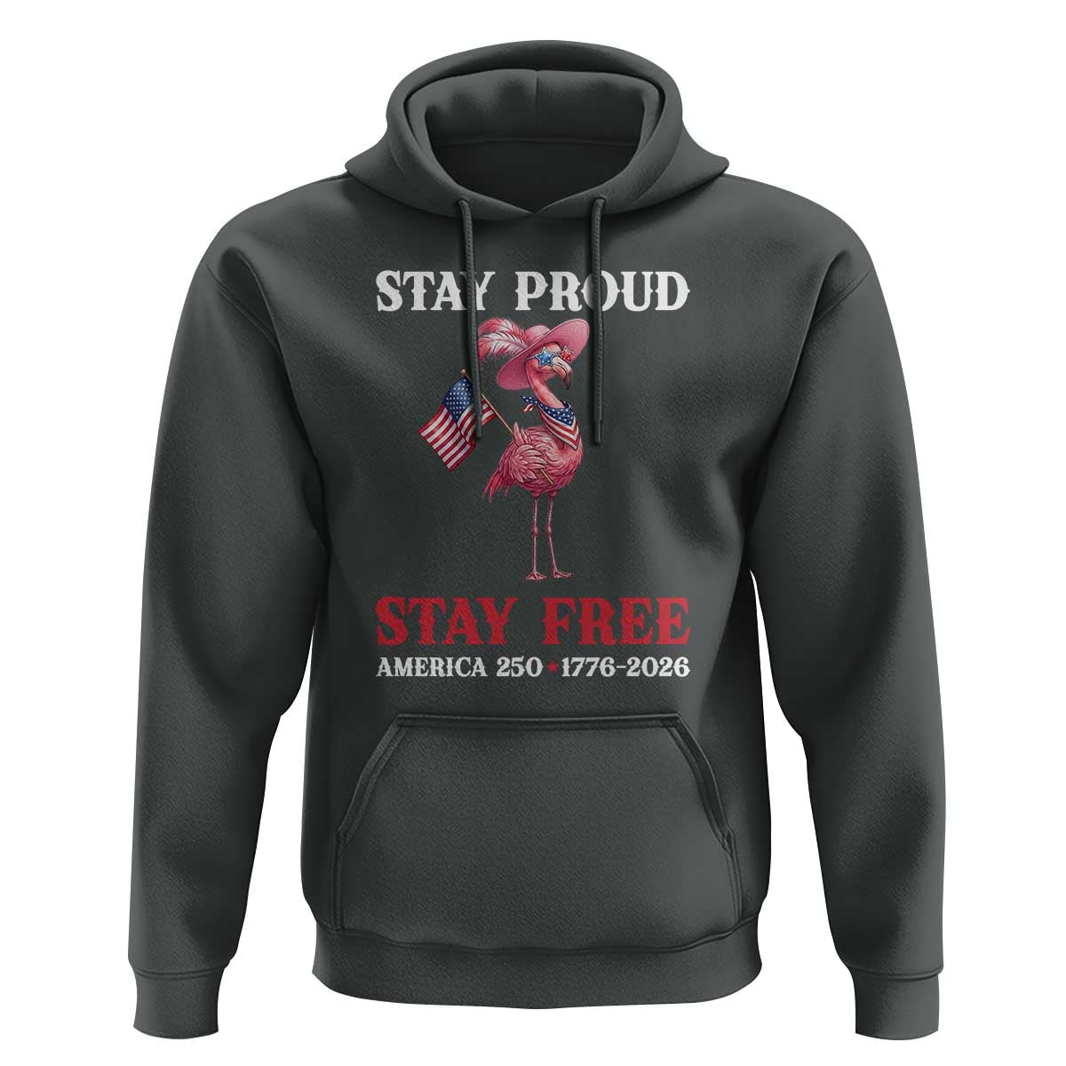 250 Years Anniversary Hoodie Flamingo 4Th Of July Patriotic USA Independence Flamerica