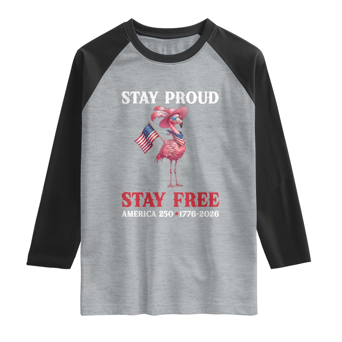 250 Years Anniversary Raglan Shirt Flamingo 4Th Of July Patriotic USA Independence Flamerica