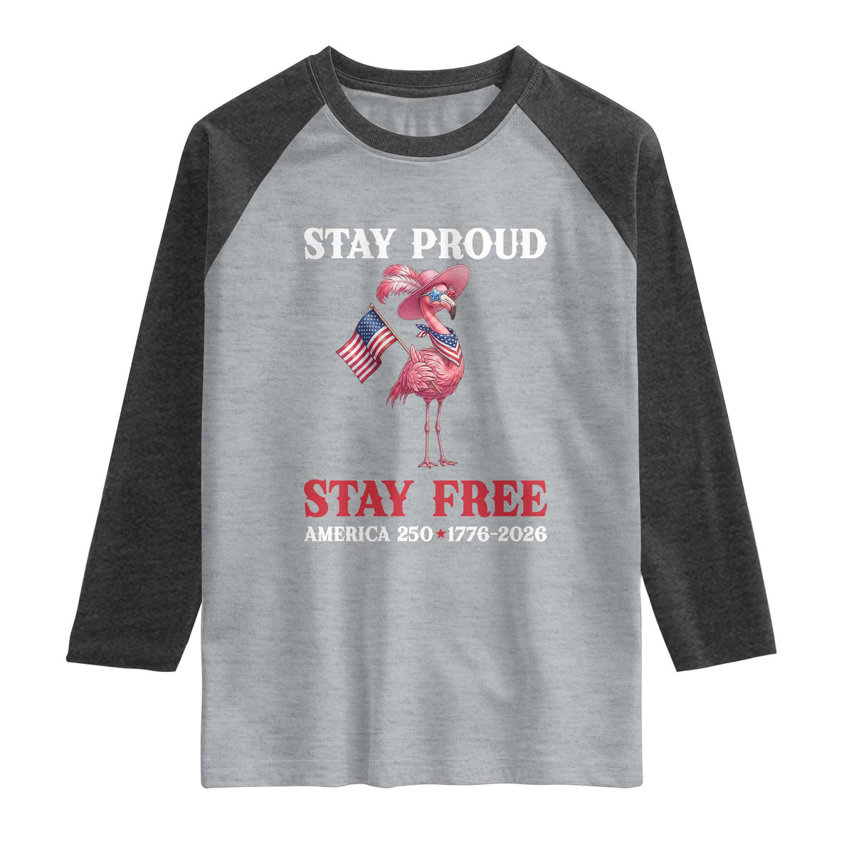 250 Years Anniversary Raglan Shirt Flamingo 4Th Of July Patriotic USA Independence Flamerica