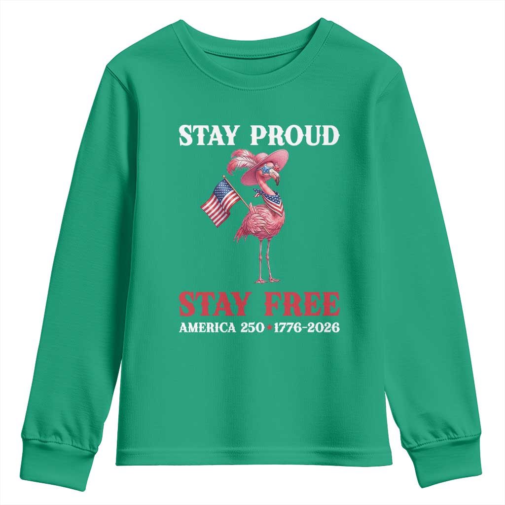 250 Years Anniversary Youth Sweatshirt Flamingo 4Th Of July Patriotic USA Independence Flamerica