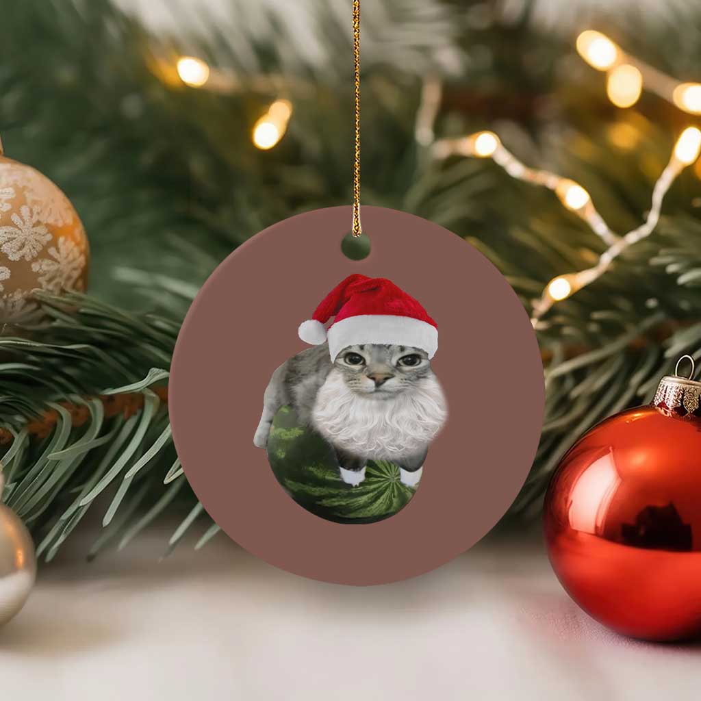 Watermelon Cat Xmas Ceramic Ornament Funny Silly Kitten Meme - Wonder Print Shop