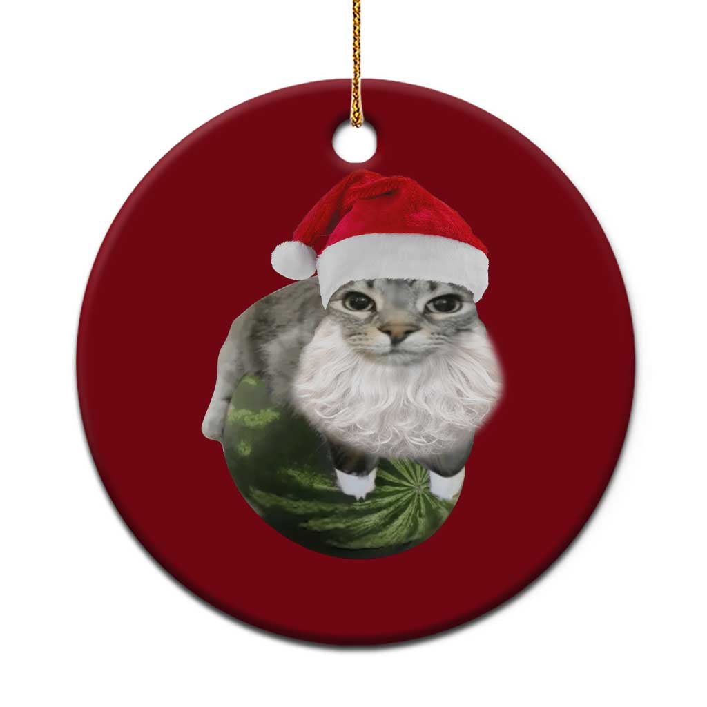 Watermelon Cat Xmas Ceramic Ornament Funny Silly Kitten Meme - Wonder Print Shop