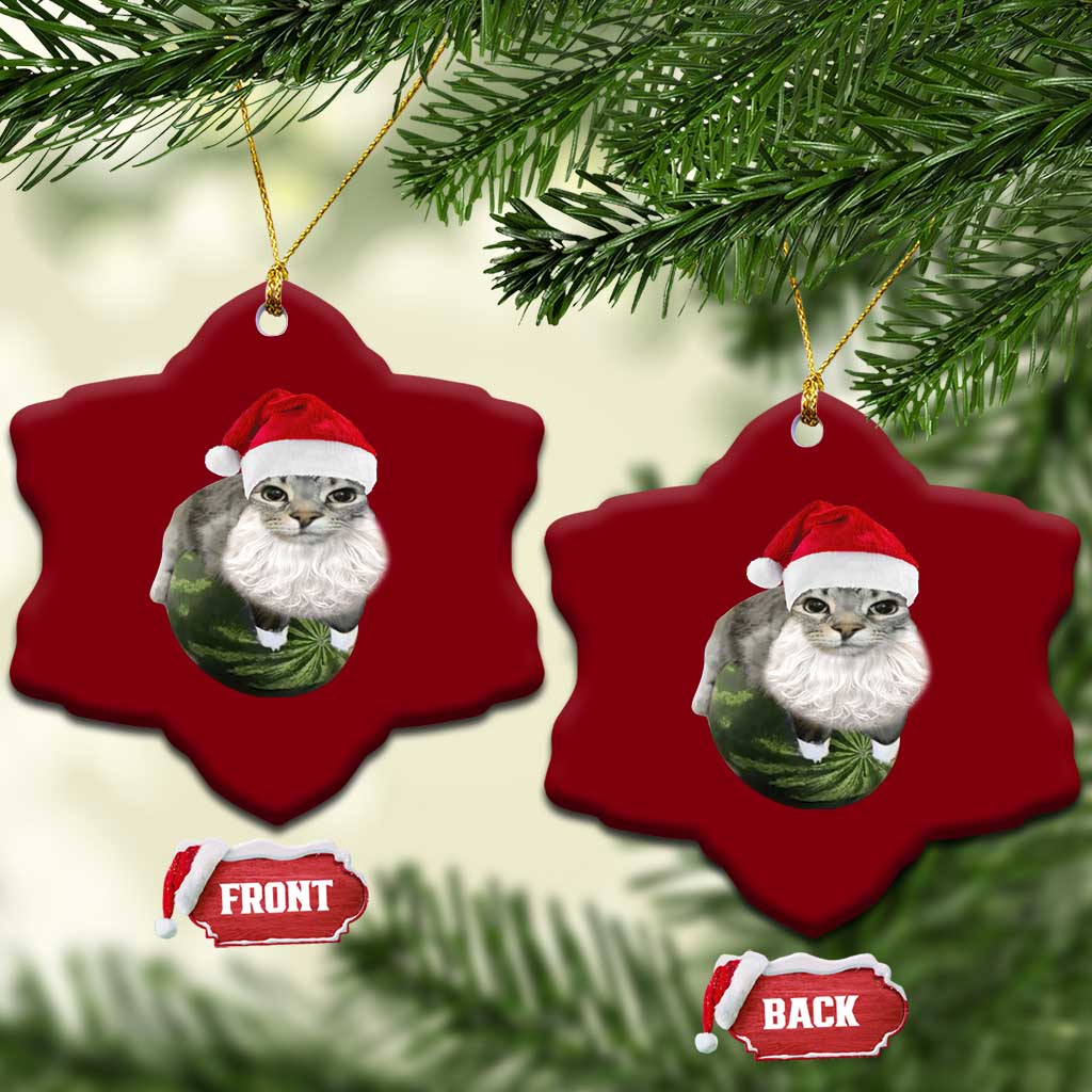 Watermelon Cat Xmas Ceramic Ornament Funny Silly Kitten Meme - Wonder Print Shop
