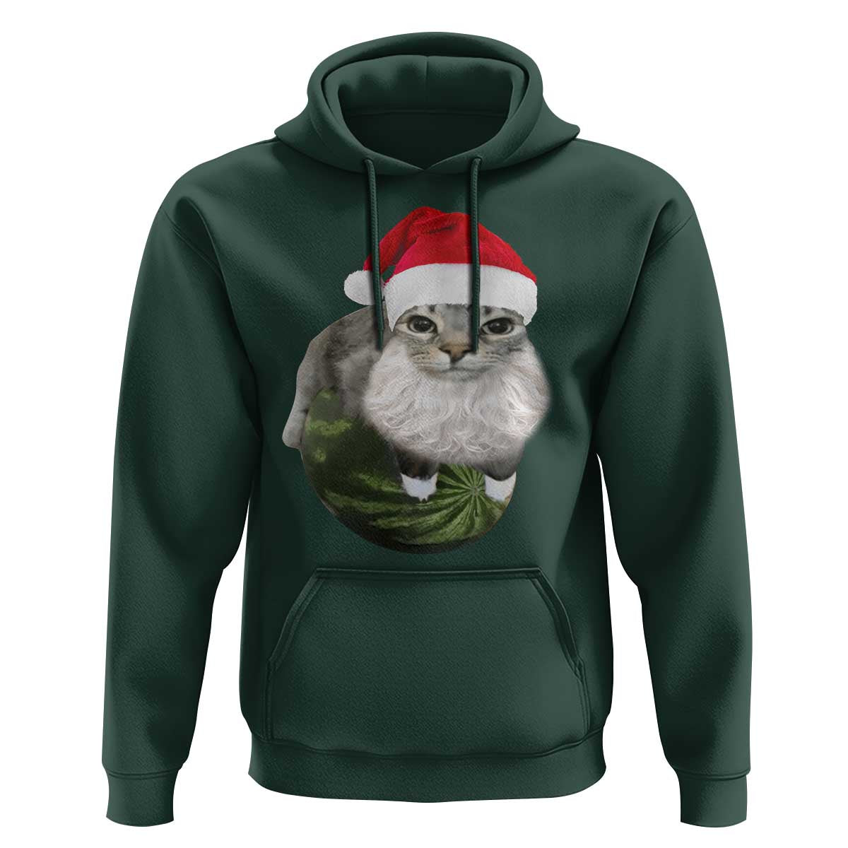 Watermelon Cat Christmas Hoodie Funny Silly Kitten Meme - Wonder Print Shop