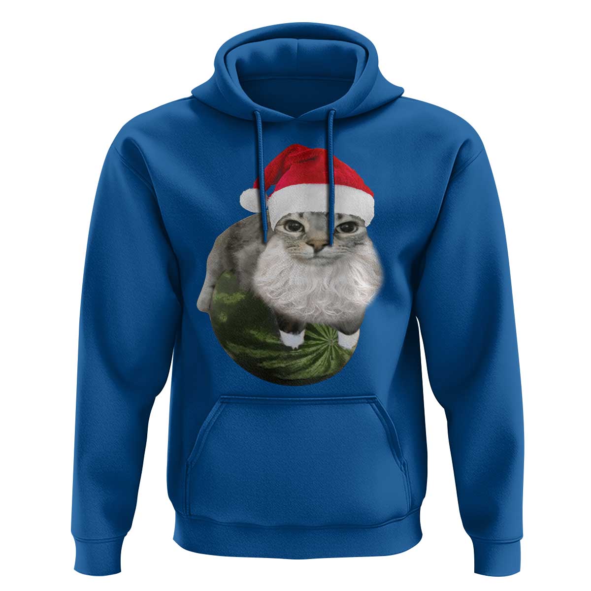 Watermelon Cat Christmas Hoodie Funny Silly Kitten Meme - Wonder Print Shop