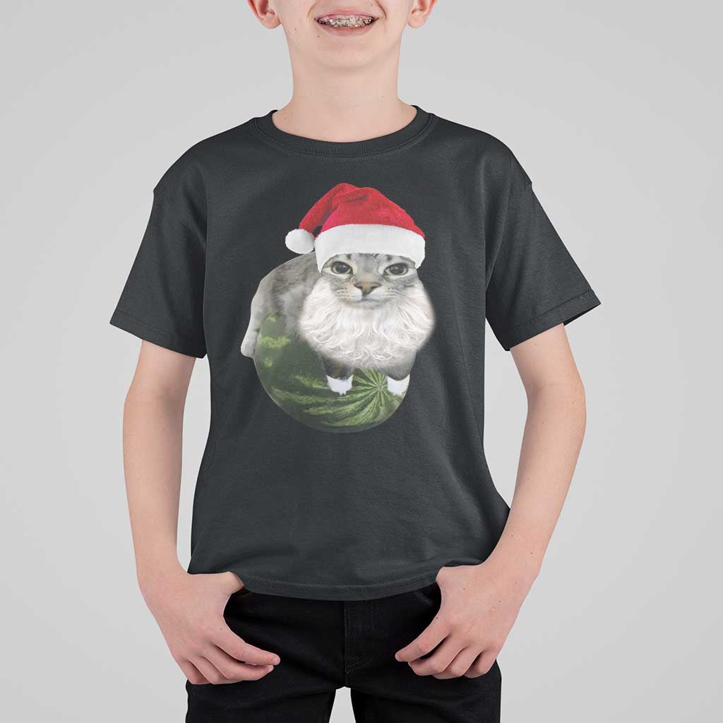 Watermelon Cat Christmas T Shirt For Kid Funny Silly Kitten Meme - Wonder Print Shop