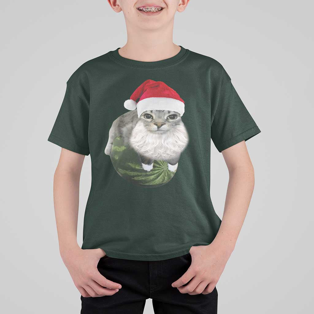 Watermelon Cat Christmas T Shirt For Kid Funny Silly Kitten Meme - Wonder Print Shop