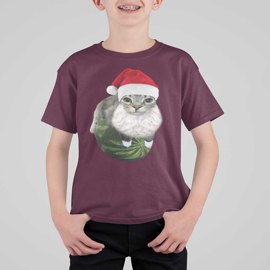 Watermelon Cat Christmas T Shirt For Kid Funny Silly Kitten Meme - Wonder Print Shop