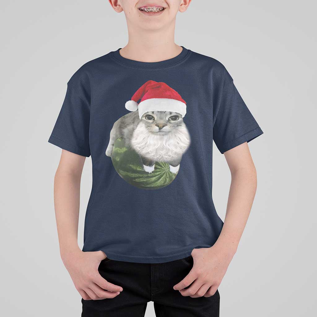Watermelon Cat Christmas T Shirt For Kid Funny Silly Kitten Meme - Wonder Print Shop