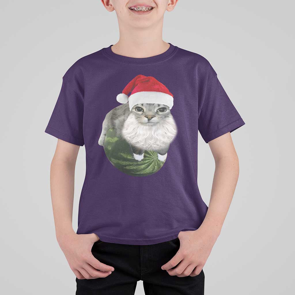 Watermelon Cat Christmas T Shirt For Kid Funny Silly Kitten Meme - Wonder Print Shop