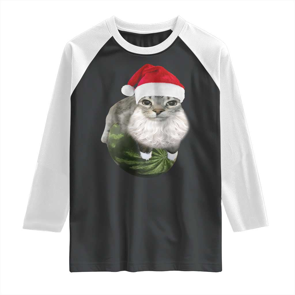 Watermelon Cat Christmas Raglan Shirt Funny Silly Kitten Meme - Wonder Print Shop
