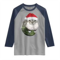 Watermelon Cat Christmas Raglan Shirt Funny Silly Kitten Meme - Wonder Print Shop