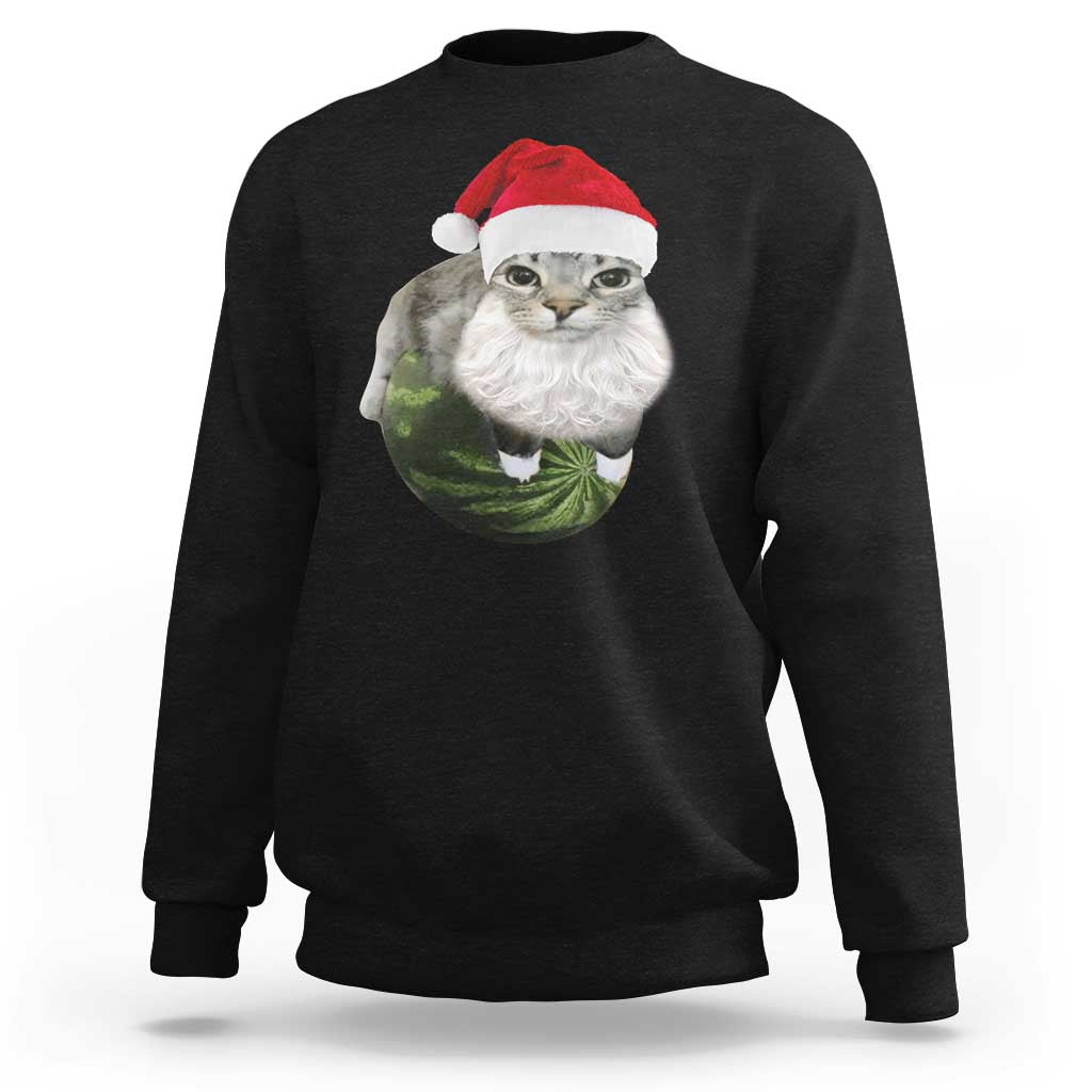 Watermelon Cat Christmas Sweatshirt Funny Silly Kitten Meme - Wonder Print Shop