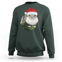 Watermelon Cat Christmas Sweatshirt Funny Silly Kitten Meme - Wonder Print Shop