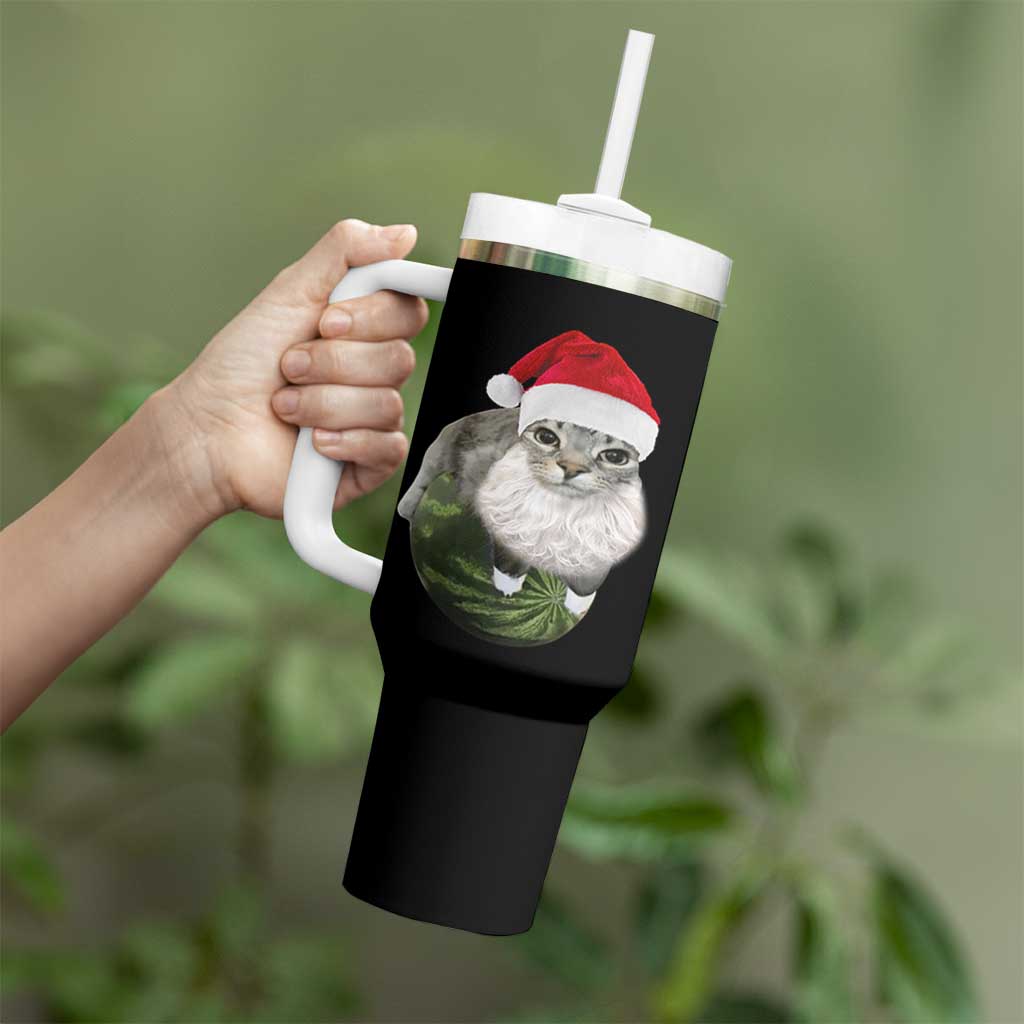 Watermelon Cat Christmas Tumbler With Handle Funny Silly Kitten Meme - Wonder Print Shop