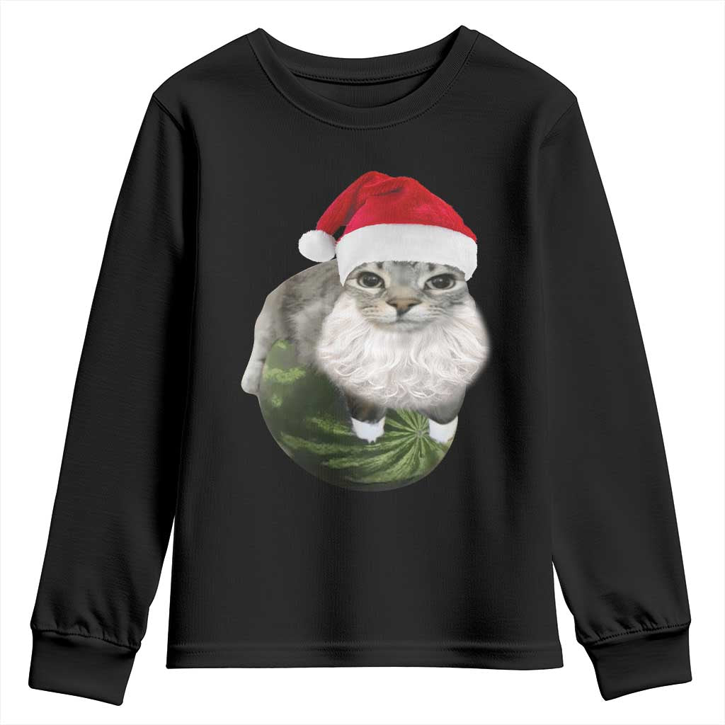 Watermelon Cat Christmas Youth Sweatshirt Funny Silly Kitten Meme - Wonder Print Shop