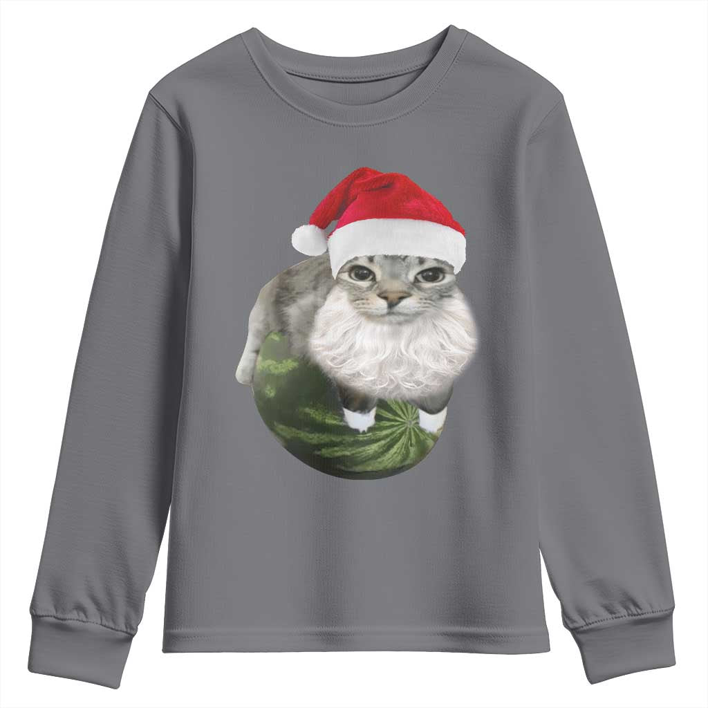 Watermelon Cat Christmas Youth Sweatshirt Funny Silly Kitten Meme - Wonder Print Shop