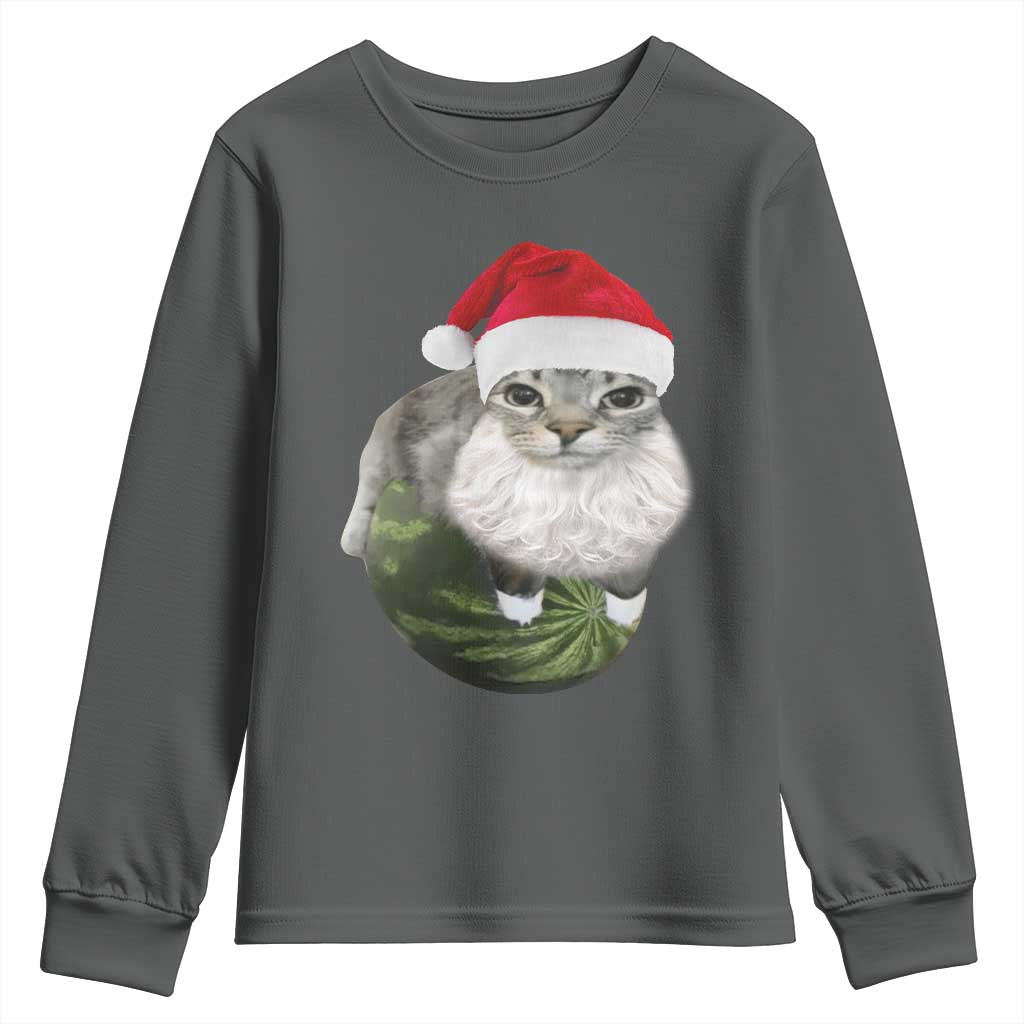 Watermelon Cat Christmas Youth Sweatshirt Funny Silly Kitten Meme - Wonder Print Shop