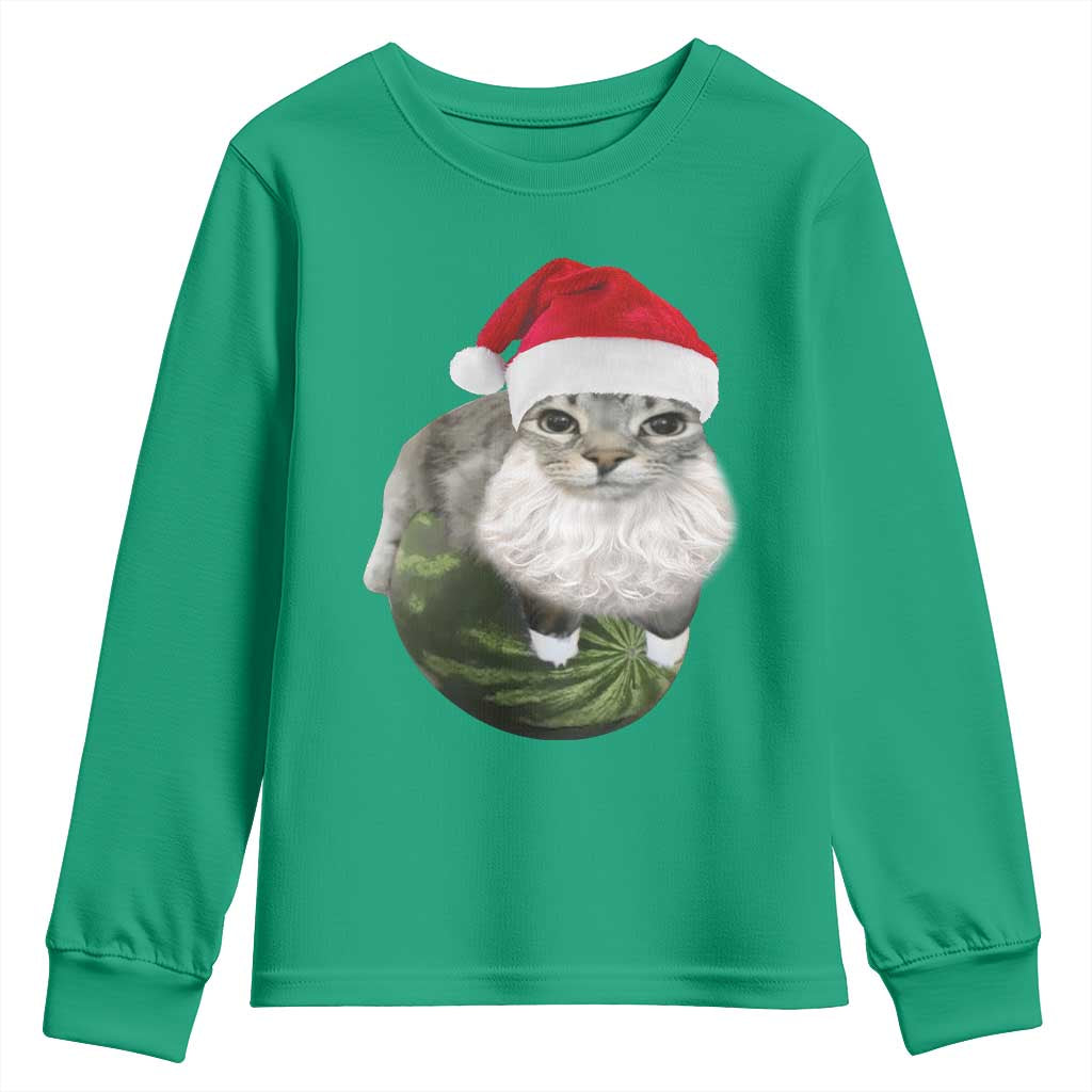 Watermelon Cat Christmas Youth Sweatshirt Funny Silly Kitten Meme - Wonder Print Shop