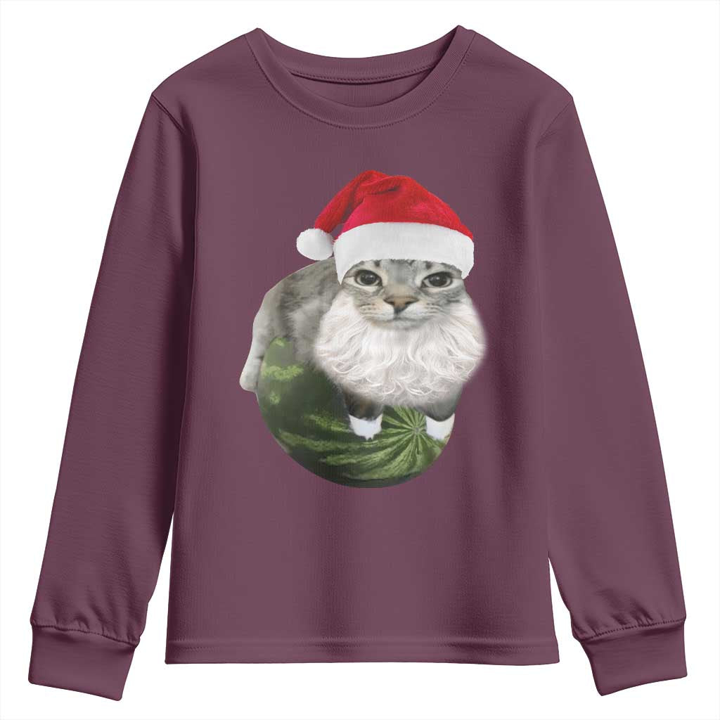 Watermelon Cat Christmas Youth Sweatshirt Funny Silly Kitten Meme - Wonder Print Shop