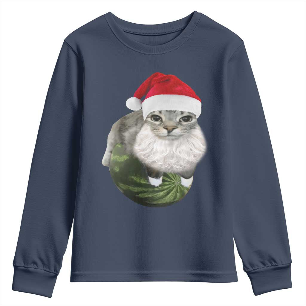 Watermelon Cat Christmas Youth Sweatshirt Funny Silly Kitten Meme - Wonder Print Shop
