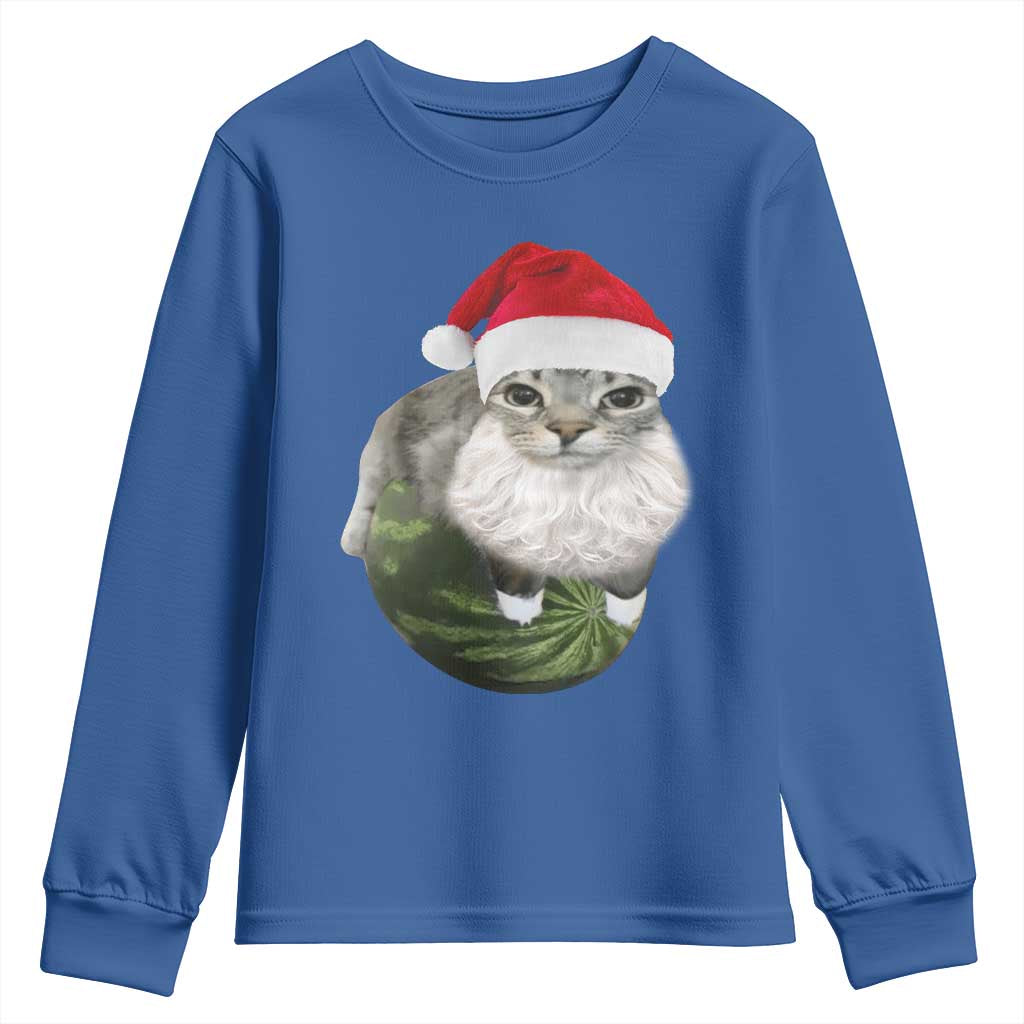 Watermelon Cat Christmas Youth Sweatshirt Funny Silly Kitten Meme - Wonder Print Shop