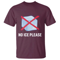 No Ice Please T Shirt Ice Cube Anti ICE Deportation Human Rights Protest