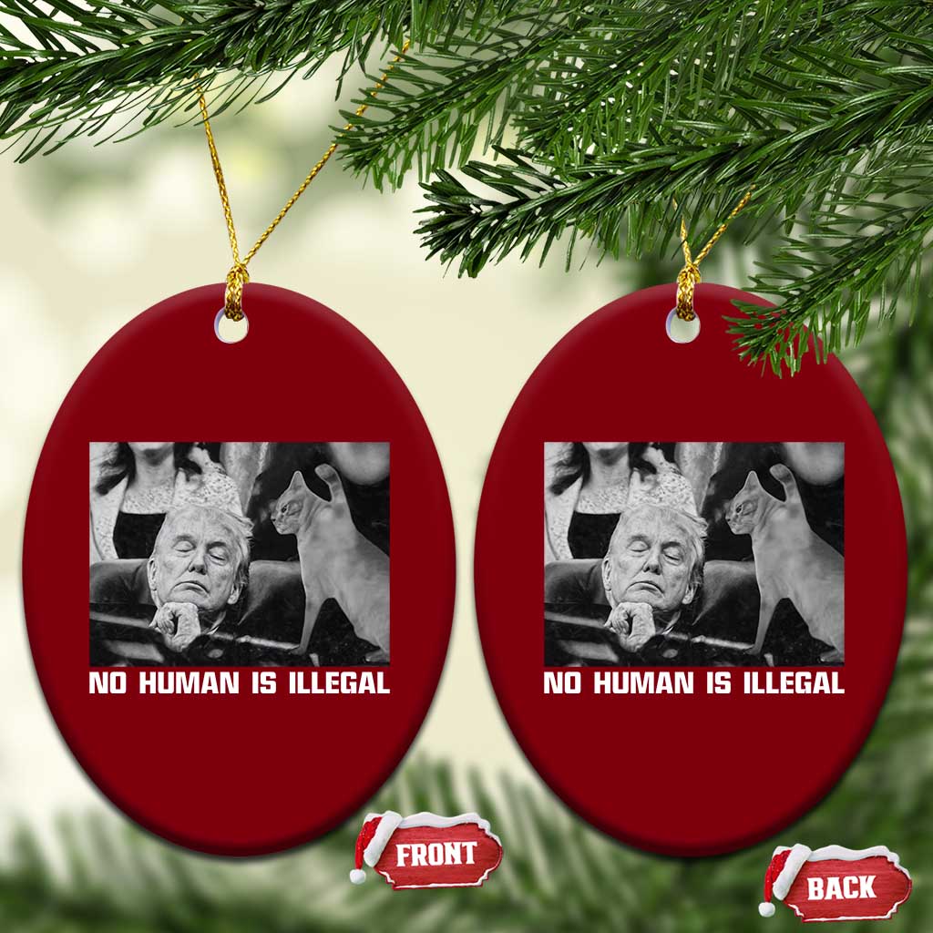 No Human Is Illegal Ceramic Ornament Funny Cat Anti ICE Meme