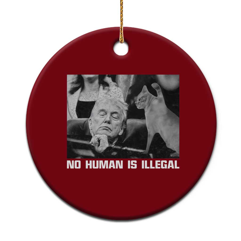 No Human Is Illegal Ceramic Ornament Funny Cat Anti ICE Meme