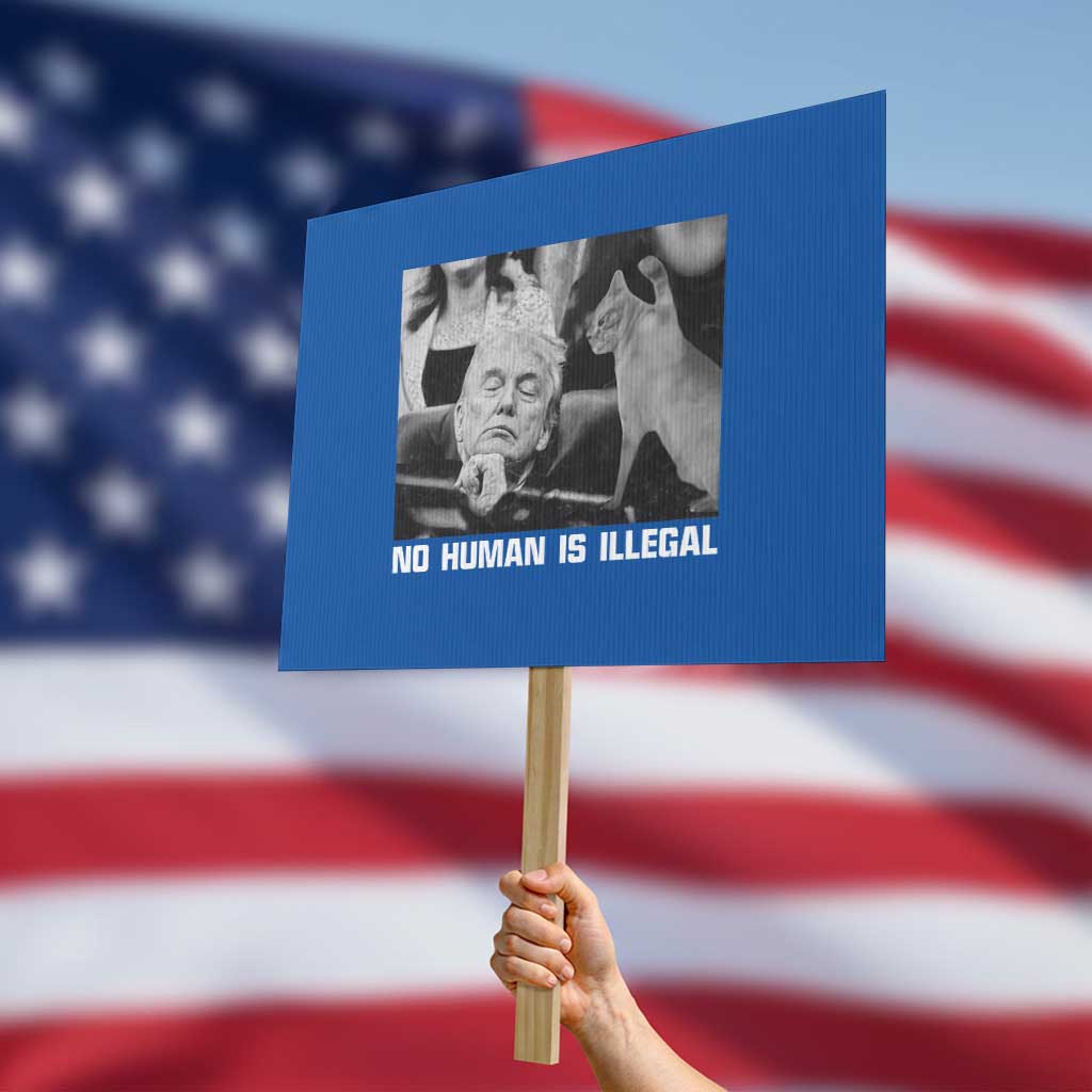 No Human Is Illegal Protest Sign Funny Cat Anti ICE Meme