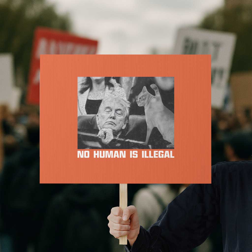 No Human Is Illegal Protest Sign Funny Cat Anti ICE Meme