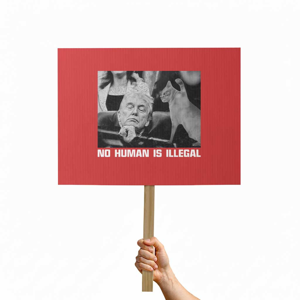 No Human Is Illegal Protest Sign Funny Cat Anti ICE Meme