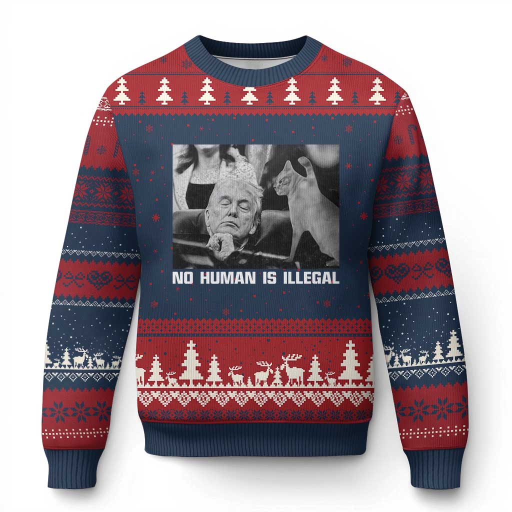 No Human Is Illegal Ugly Christmas Sweater Funny Cat Anti ICE Meme