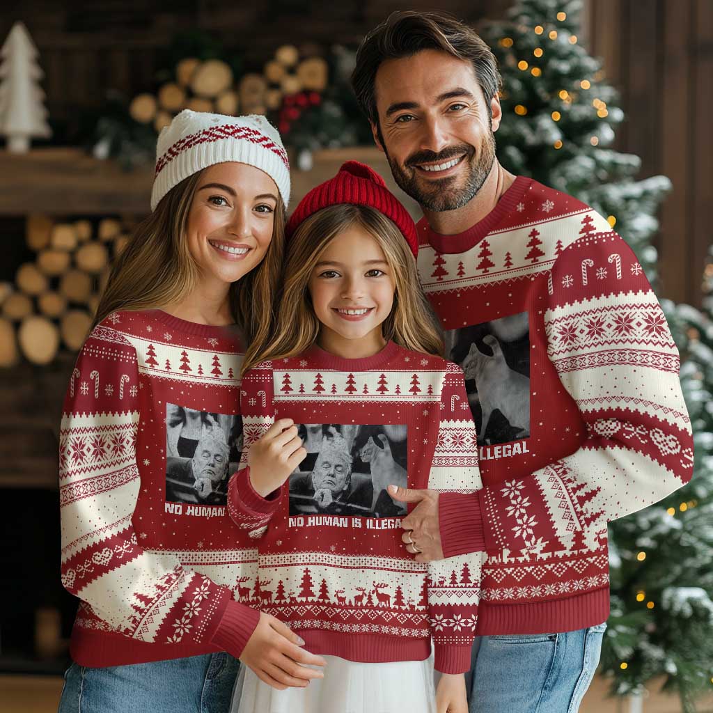 No Human Is Illegal Ugly Christmas Sweater Funny Cat Anti ICE Meme