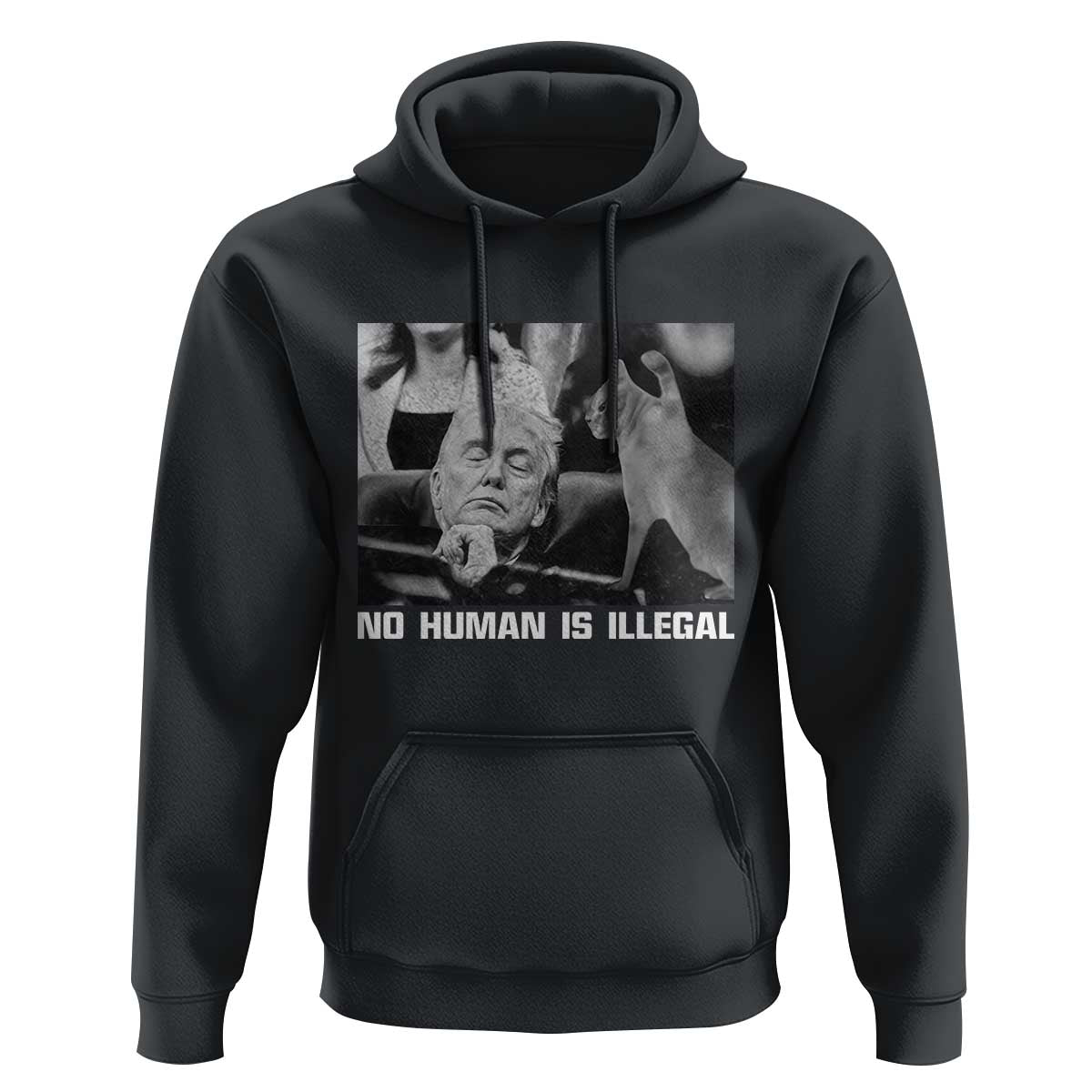No Human Is Illegal Hoodie Funny Cat Anti ICE Meme