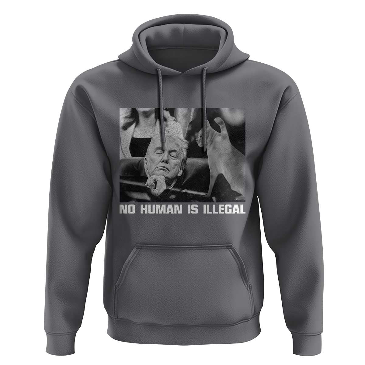 No Human Is Illegal Hoodie Funny Cat Anti ICE Meme