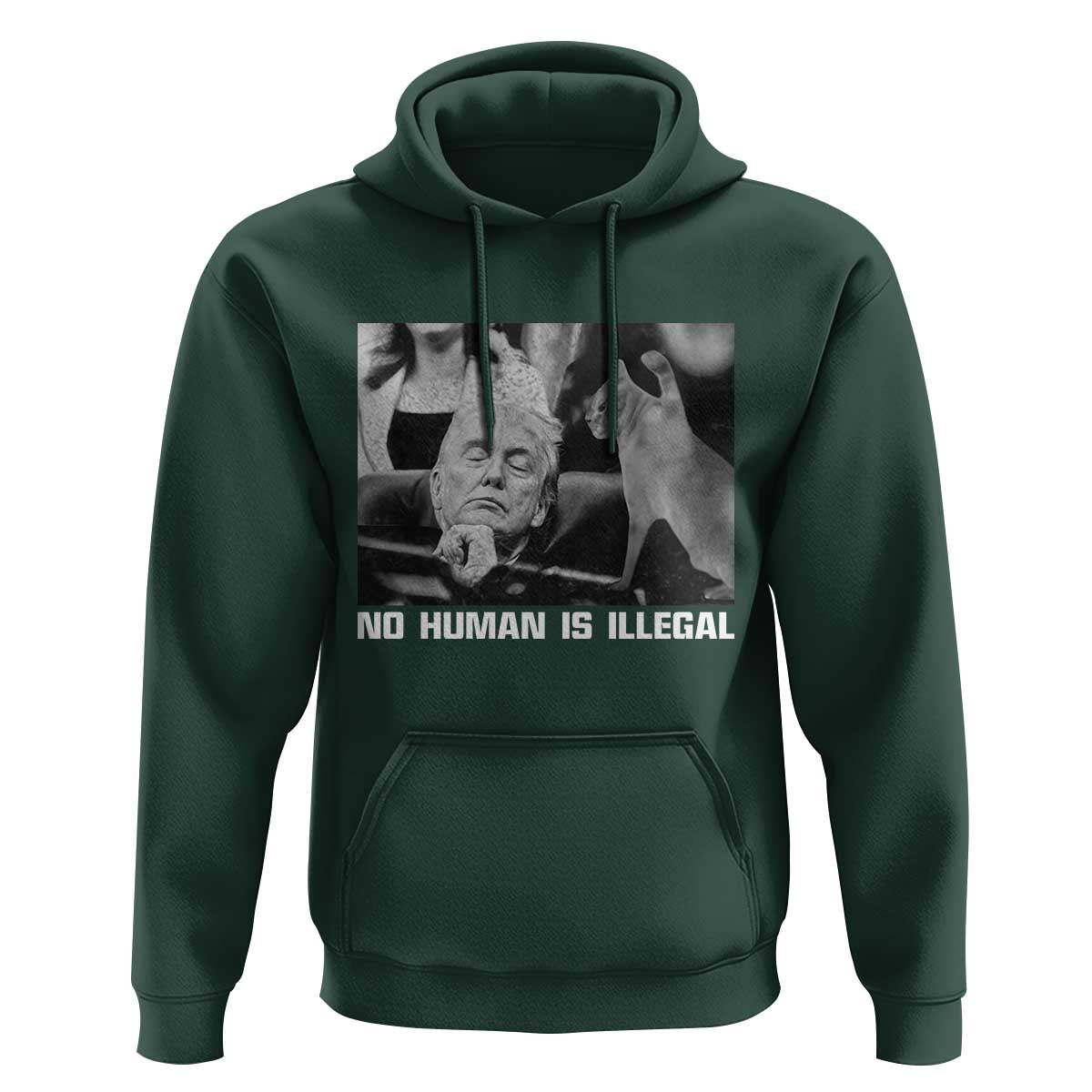 No Human Is Illegal Hoodie Funny Cat Anti ICE Meme