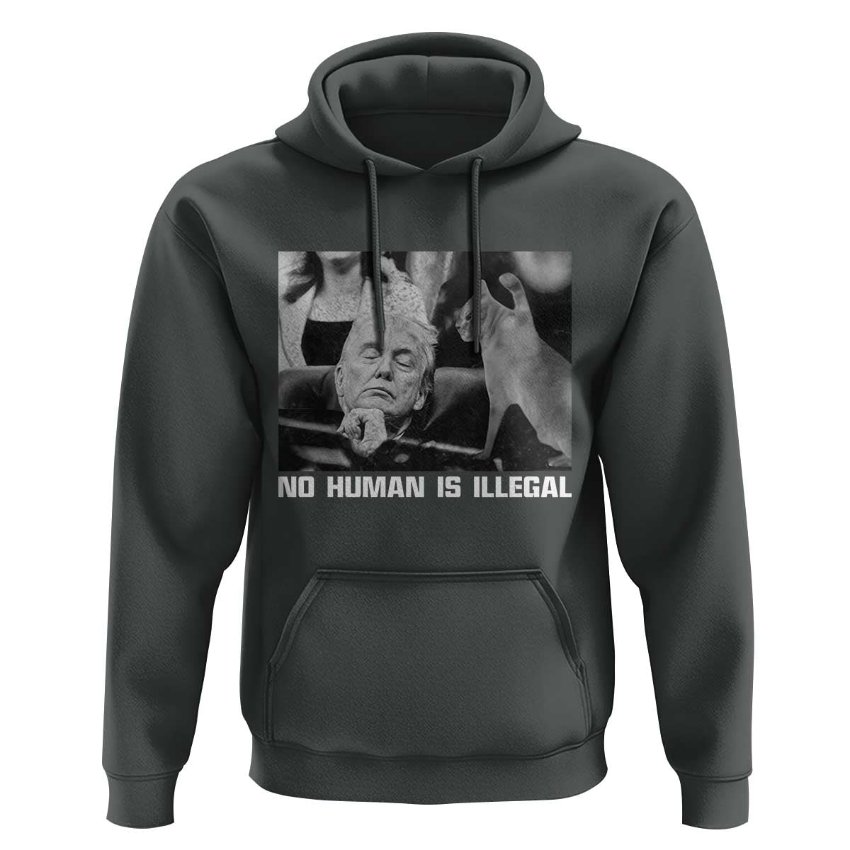 No Human Is Illegal Hoodie Funny Cat Anti ICE Meme