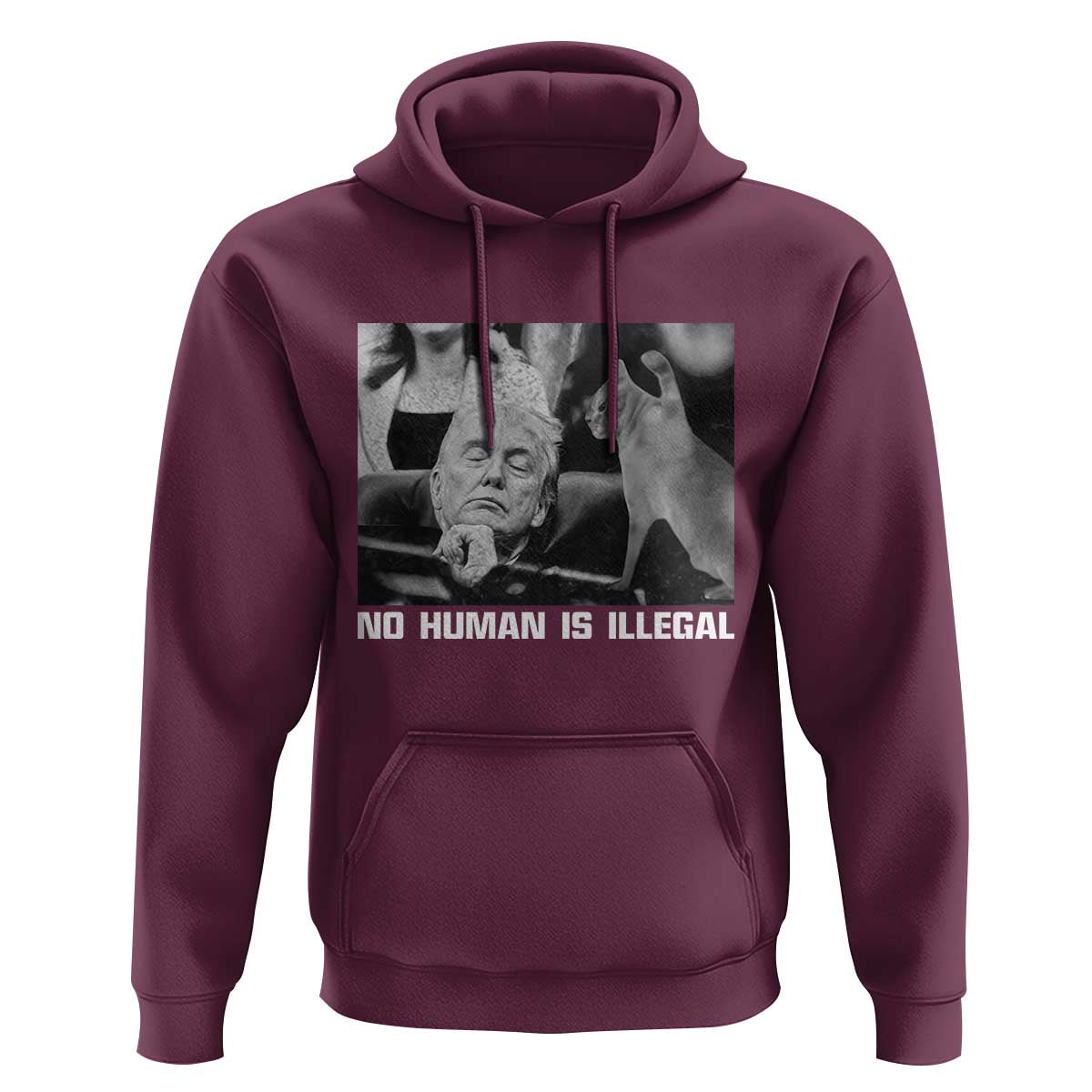 No Human Is Illegal Hoodie Funny Cat Anti ICE Meme