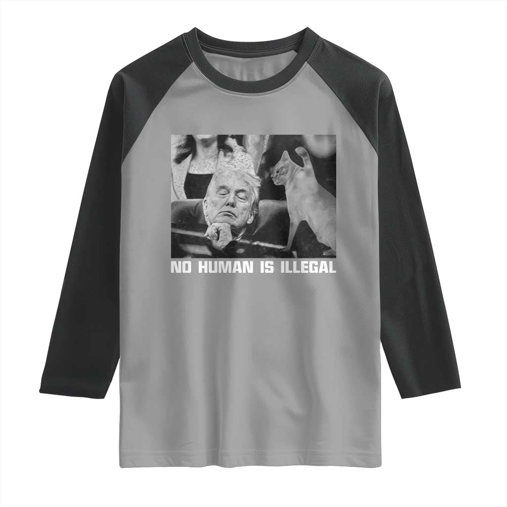 No Human Is Illegal Raglan Shirt Funny Cat Anti ICE Meme