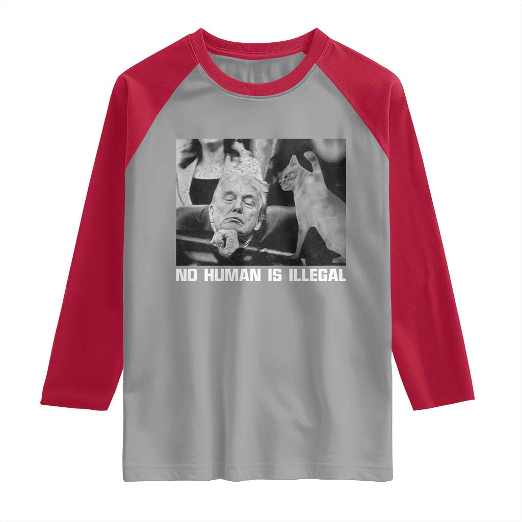 No Human Is Illegal Raglan Shirt Funny Cat Anti ICE Meme