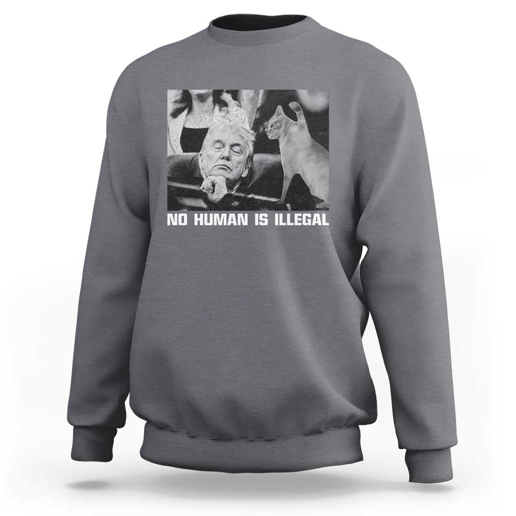 No Human Is Illegal Sweatshirt Funny Cat Anti ICE Meme