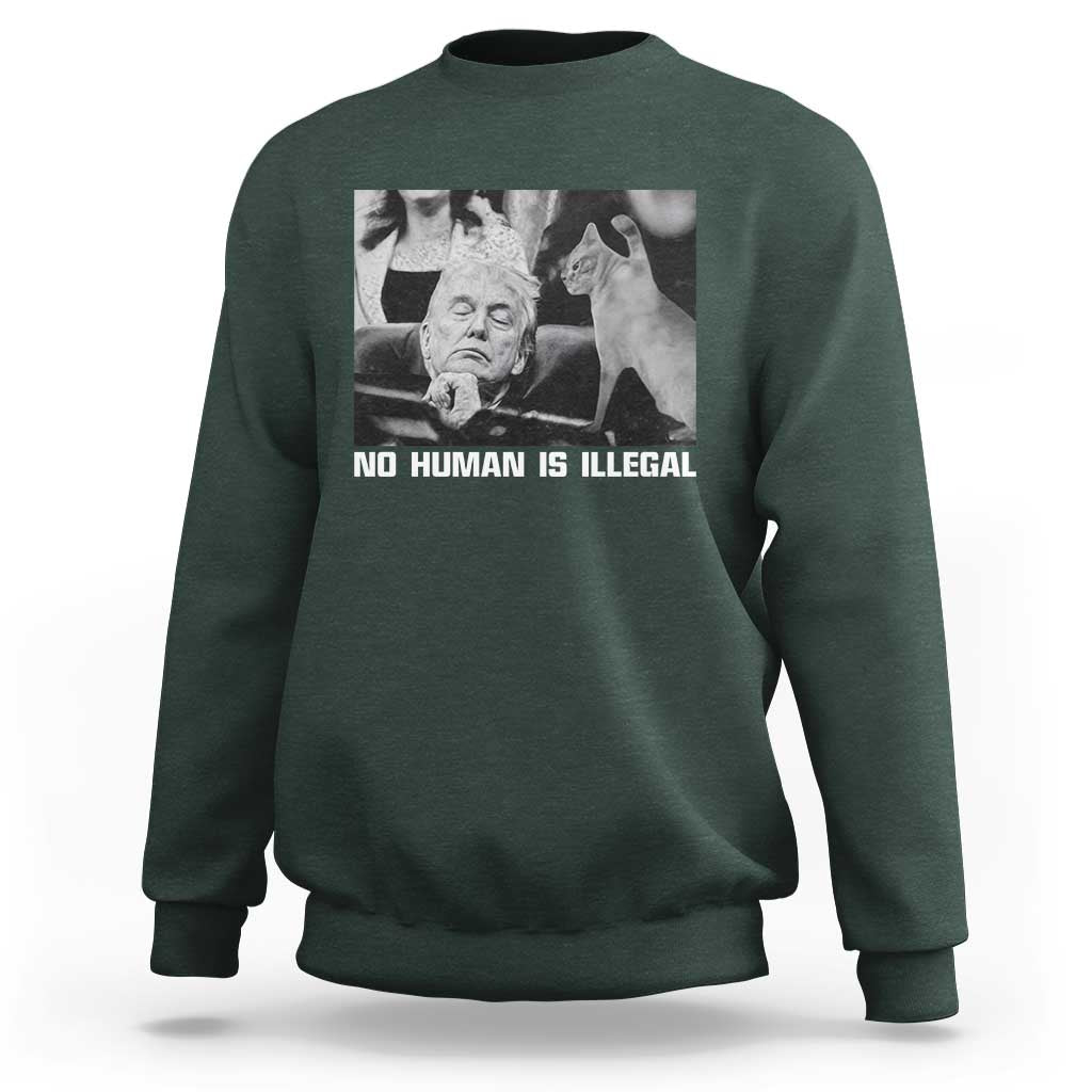 No Human Is Illegal Sweatshirt Funny Cat Anti ICE Meme