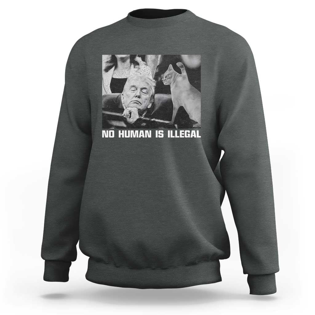 No Human Is Illegal Sweatshirt Funny Cat Anti ICE Meme