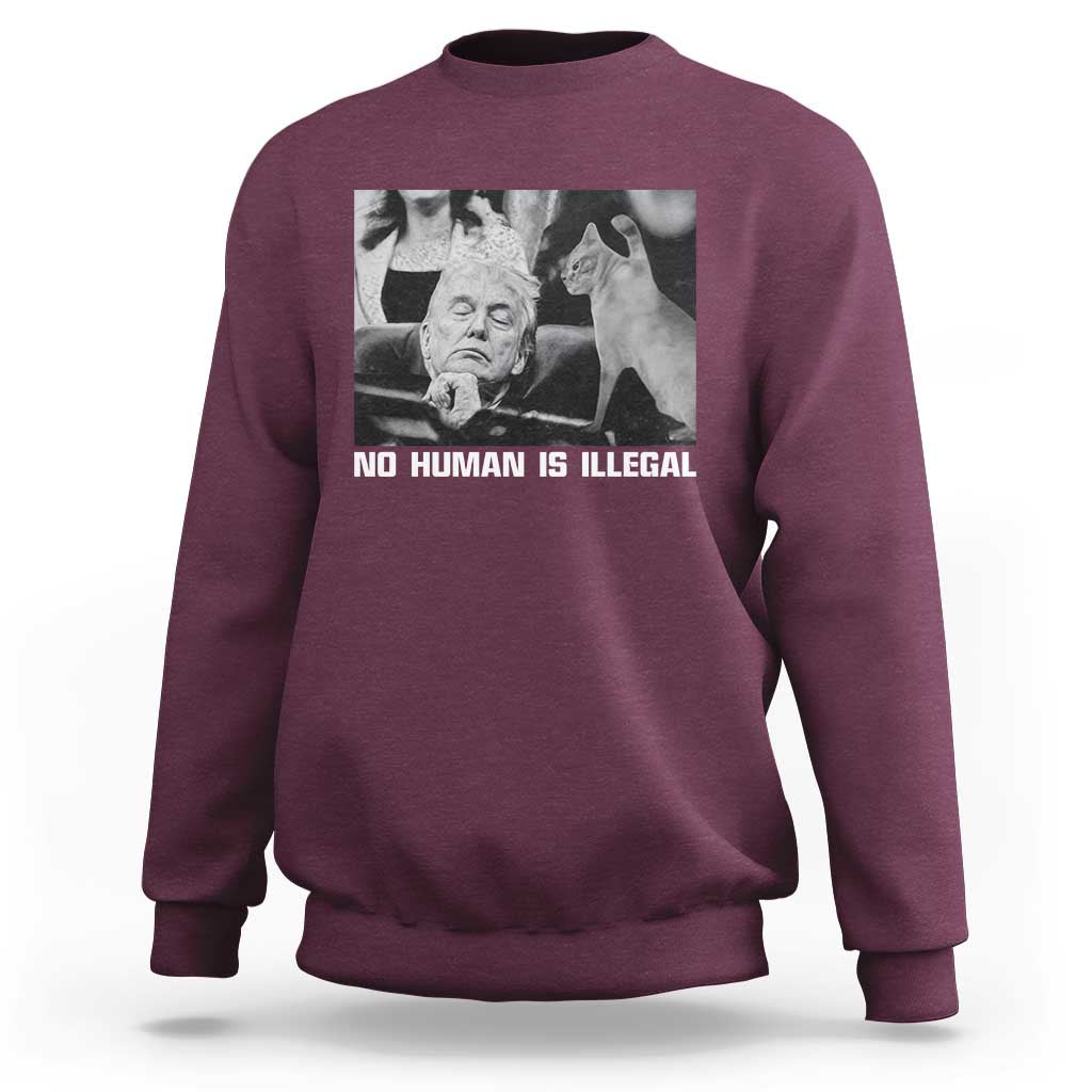 No Human Is Illegal Sweatshirt Funny Cat Anti ICE Meme